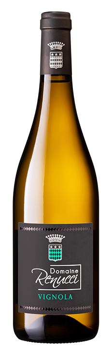 Vignola Blanc